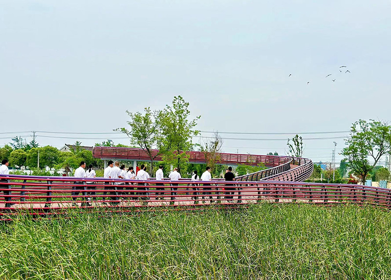 圖片關(guān)鍵詞